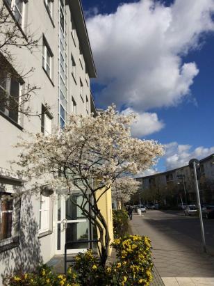 Objektansicht Objektansicht