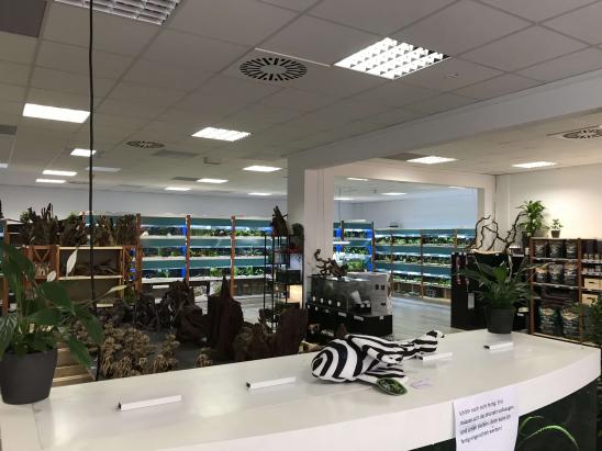 Innenansicht Innenansicht